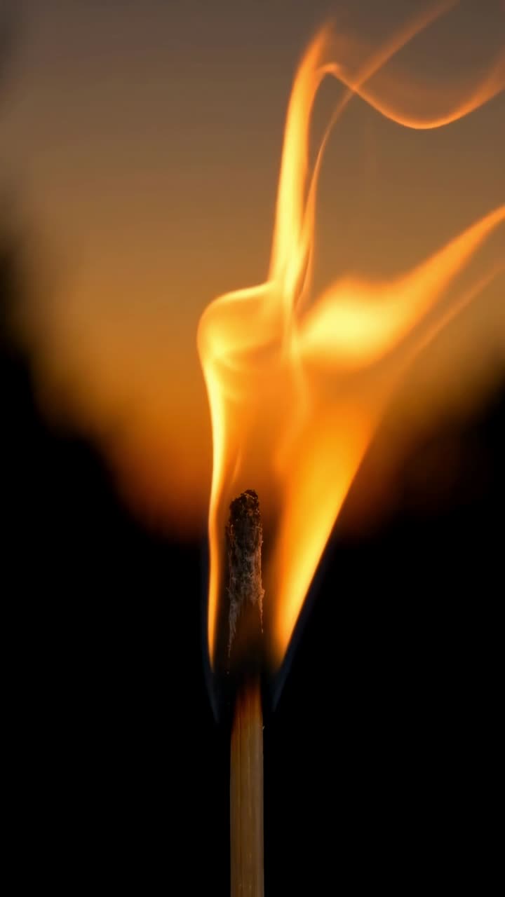Noire Lumière — Fragrance